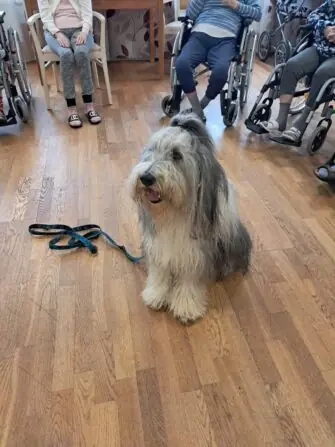 IMG-20250313-WA0021-1152x1536