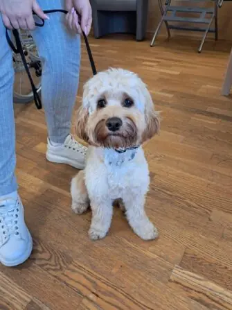 IMG-20250404-WA0000-1152x1536