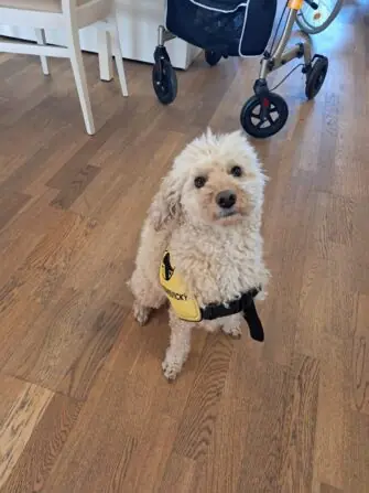 IMG-20250404-WA0001-1152x1536