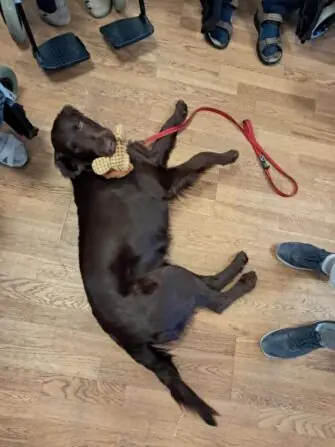 IMG-20250404-WA0007-1152x1536