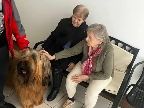 PHOTO-2026-01-19-13-59-21.jpg 11