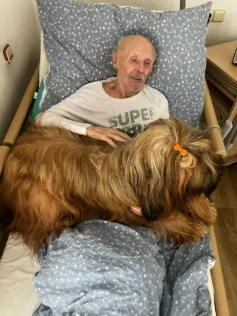 PHOTO-2026-01-19-13-59-21.jpg 7