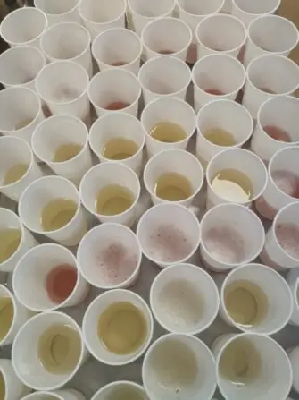 WhatsApp-Image-2024-12-31-at-11.37.58-1152x1536