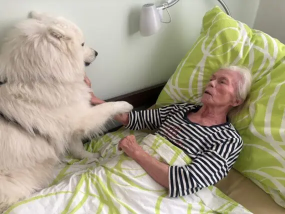 WhatsApp Image 2026-01-18 at 12grege.27.20