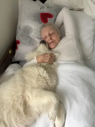 WhatsApp Image 2026-01-18 at 12hdhd.27.24