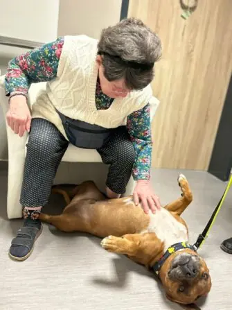 WhatsApp Image 2026-01-27 at 07.56.43 (1)