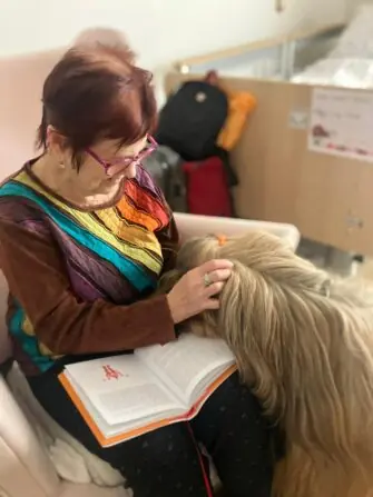 c49536dc-263b-41b5-8f19-b0c5fb37ebaf.JPG 20