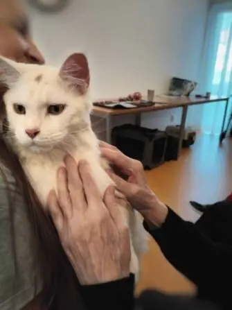 1000000425-1152x1536