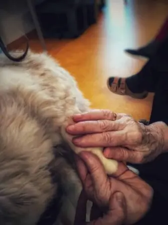 1000000426-1152x1536