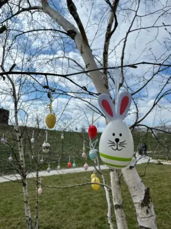 16247c15-fb75-4f28-8f6f-20f54380f241-1152x1536