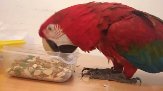 1737356675401-1536x864