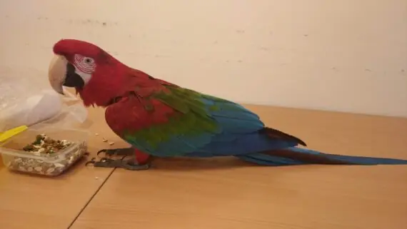 1737356675406-1536x864