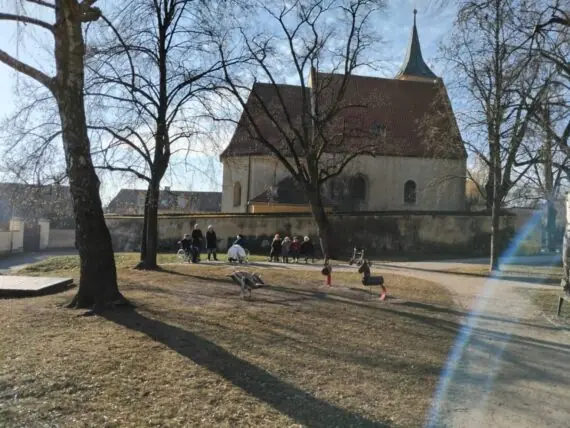 1739443532053-1536x1152