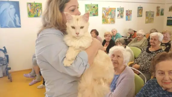 1743171632592-1536x864