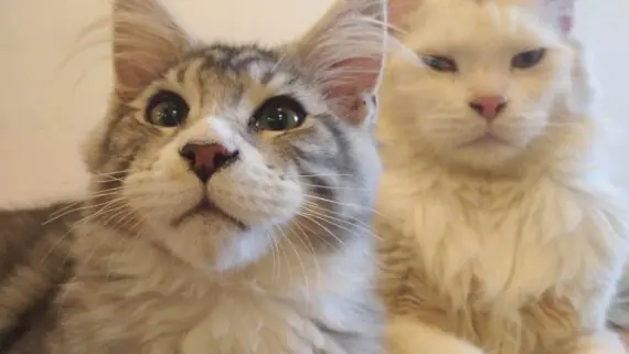 1743171632604-1536x864