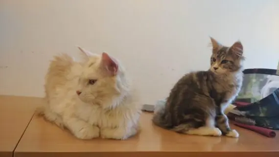 1743171632627-1536x864