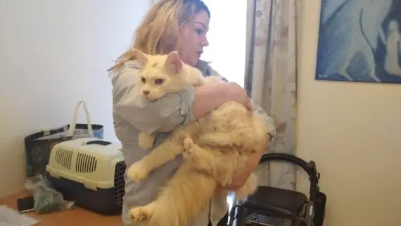 1743171632682-1536x864