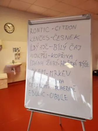 20250122_105215-1152x1536