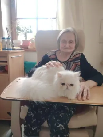 27aafebb-798a-4c24-9189-7f455a72d94c