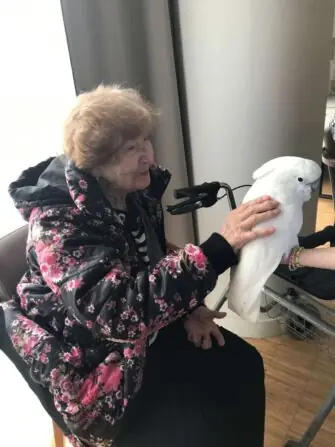 3-w-scaled-e1743418204753-1152x1536