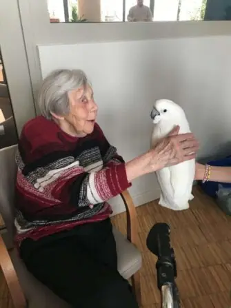 4-w-scaled-e1743418222261-1152x1536