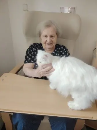 42a9b011-1609-467f-b5b4-bdf3e7d0d83e