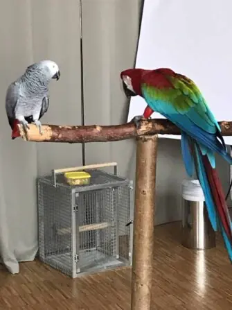 6-w-scaled-e1743418263854-1152x1536