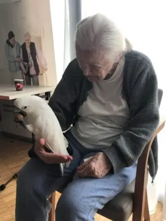 7-w-scaled-e1743418279537-1152x1536