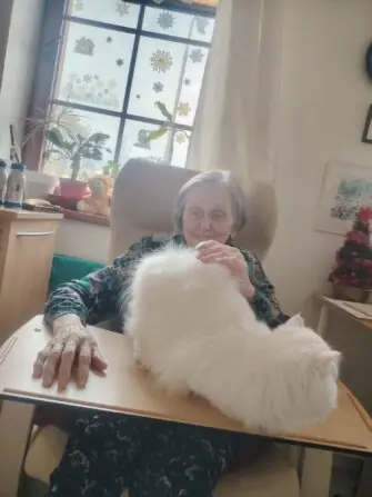 71ddbc3c-b662-4aaf-934a-cbcaa886429d (2)