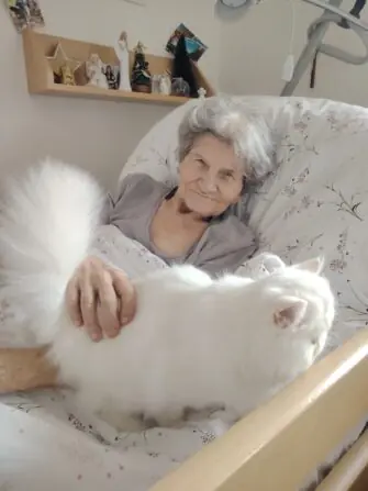 7f48bcc0-d0fc-451f-82bf-b25b2bc663ff (2)