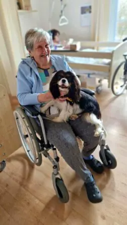 IMG-20241121-WA0005-865x1536