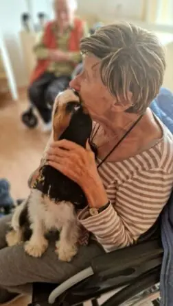 IMG-20241121-WA0011-865x1536