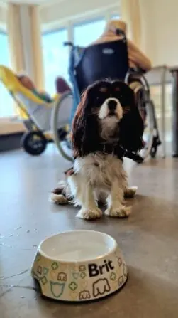 IMG-20241121-WA0023-864x1536