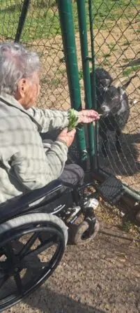 IMG-20250417-WA0000-692x1536