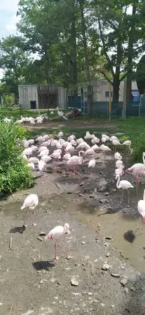 IMG-20250716-WA0033-708x1536