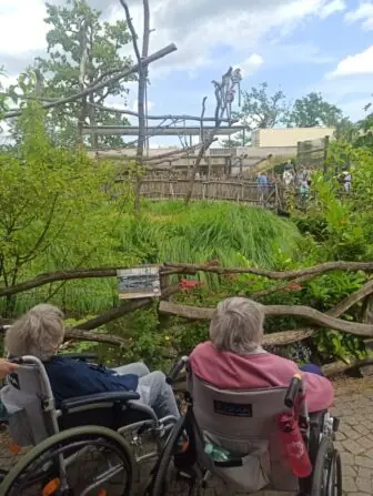 IMG-20250716-WA0046-1153x1536