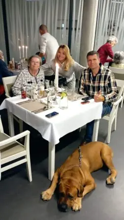 IMG_20241107_162928-867x1536