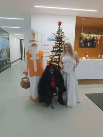 IMG_20241205_0926581