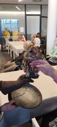 IMG_20250122_143952019-691x1536