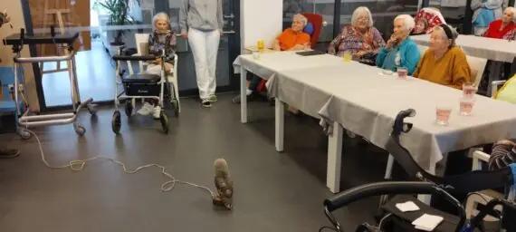 IMG_20250122_145250300-1536x691