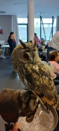 IMG_20250122_151035112_HDR-691x1536