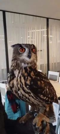 IMG_20250122_151701513-691x1536