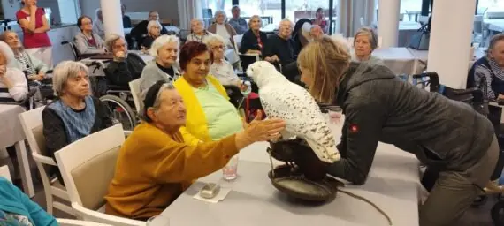 IMG_20250122_152955916-1536x691