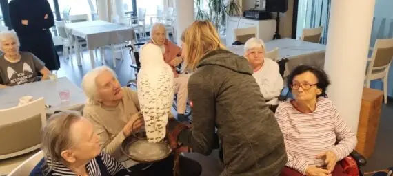 IMG_20250122_153041078-1536x691