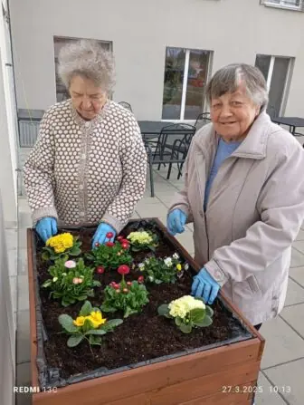 IMG_20250327_101330-1156x1536