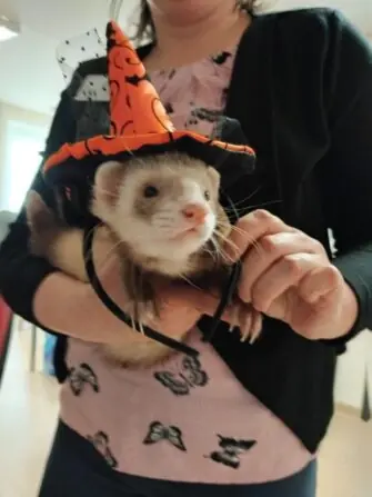 IMG_20250429_121353-1152x1536