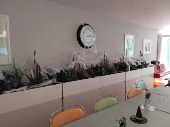 IMG_20250429_141556-1536x1152