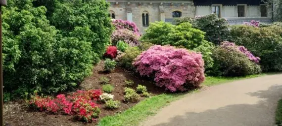 IMG_20250527_152252866_HDR-1536x691