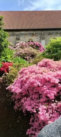 IMG_20250527_152442190_HDR-691x1536