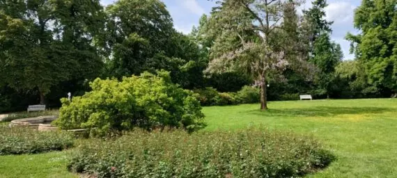 IMG_20250527_152839679_HDR-1536x691